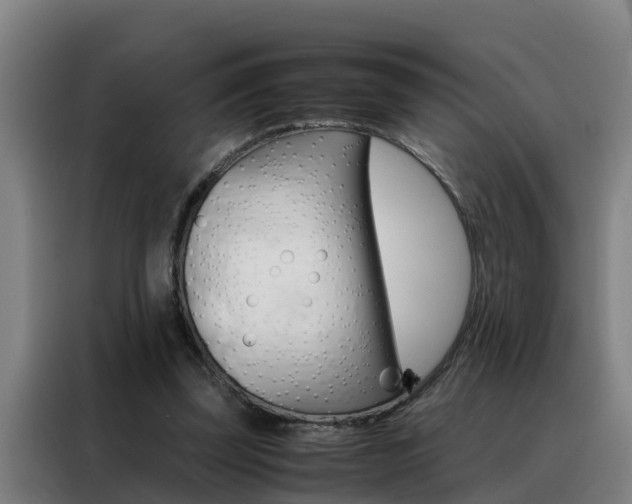 X0000088400347200705220826