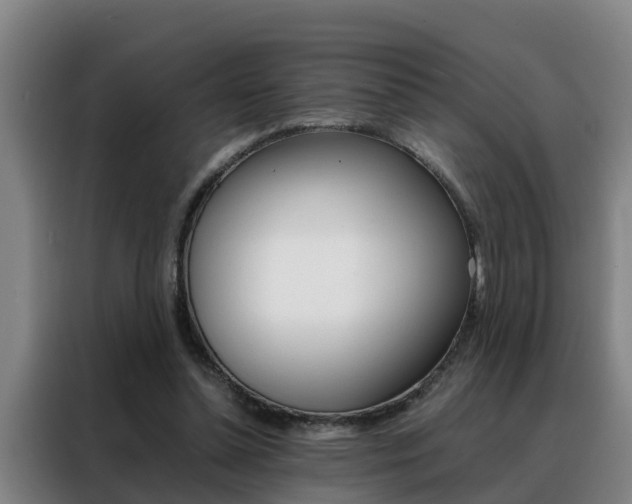 X0000088400348200705220826