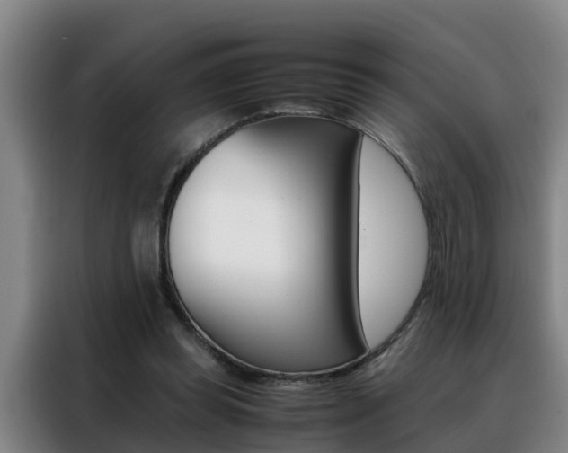 X0000088400349200705220826