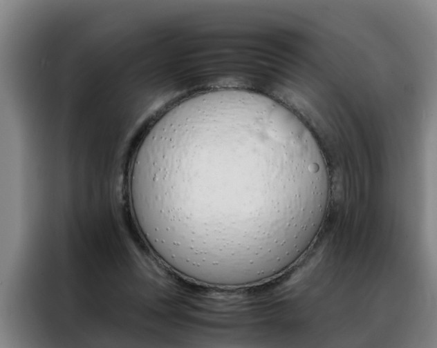 X0000088400351200705220826