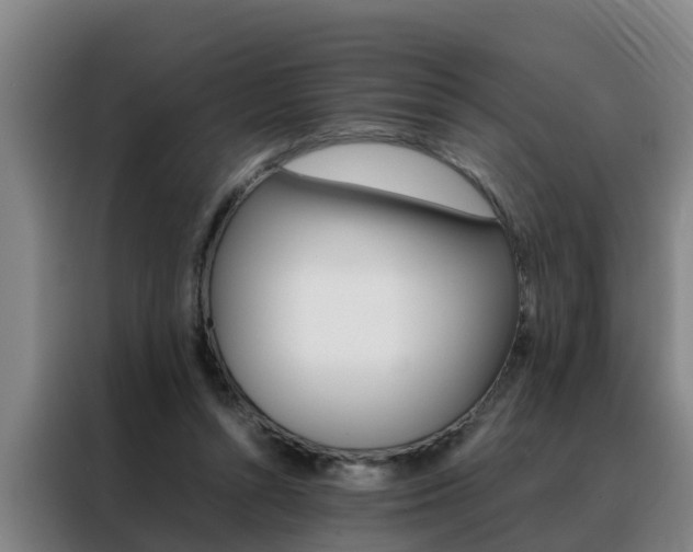 X0000088400352200705220826
