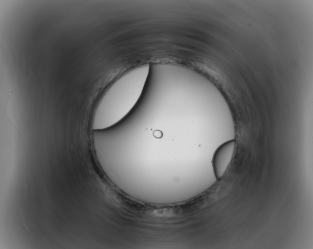 X0000088400353200705220826