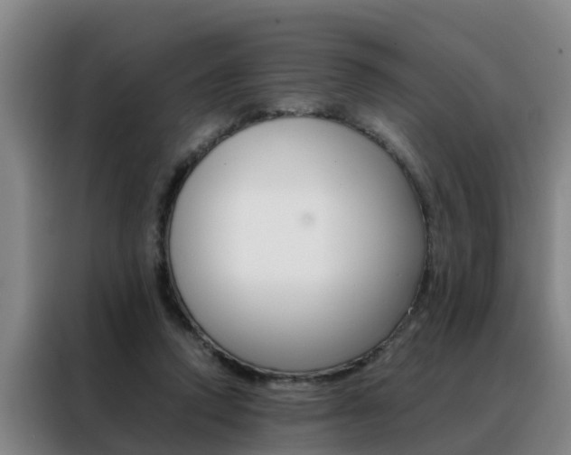 X0000088400354200705220826