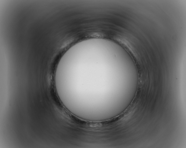 X0000088400355200705220826