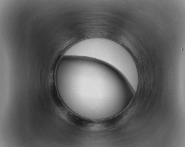 X0000088400356200705220826