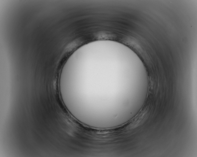X0000088400357200705220826