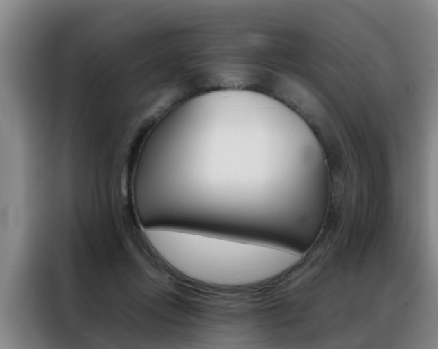 X0000088400358200705220826