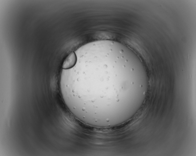 X0000088400359200705220826