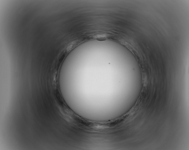 X0000088400360200705220826