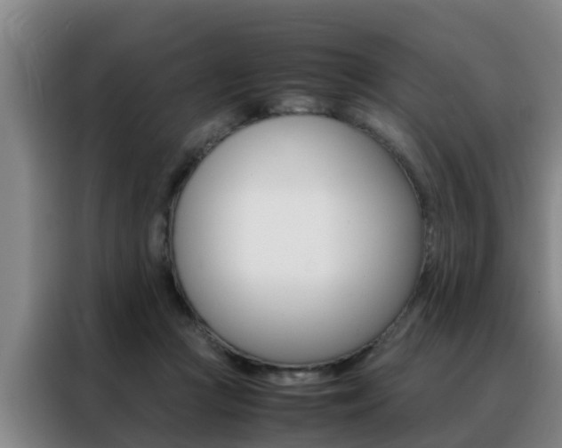 X0000088400361200705220826