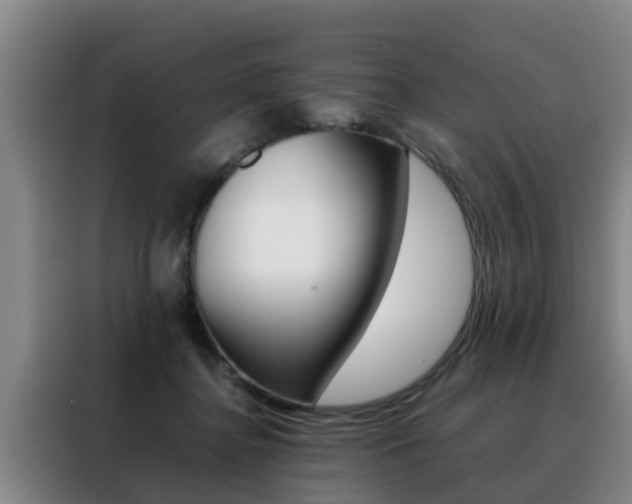 X0000088400364200705220826