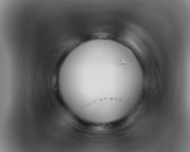 X0000088400365200705220826