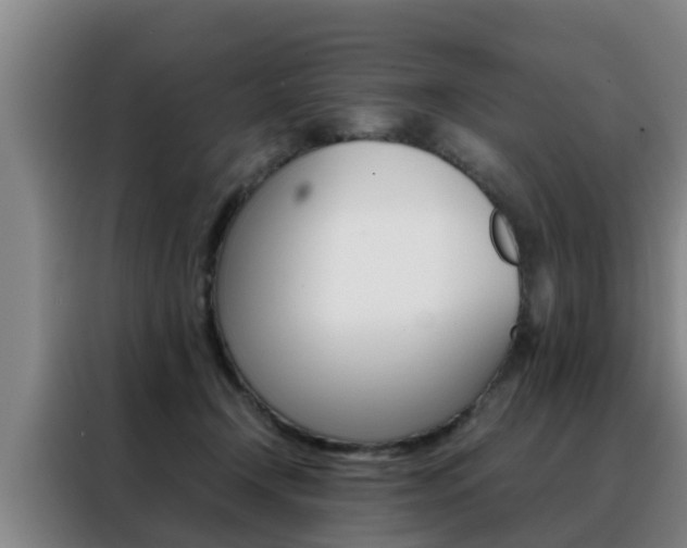 X0000088400366200705220826