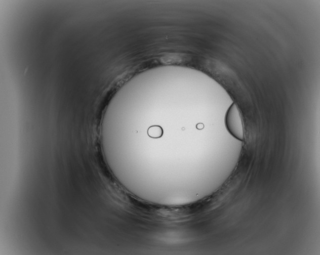X0000088400367200705220826
