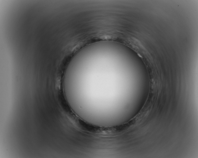 X0000088400368200705220826