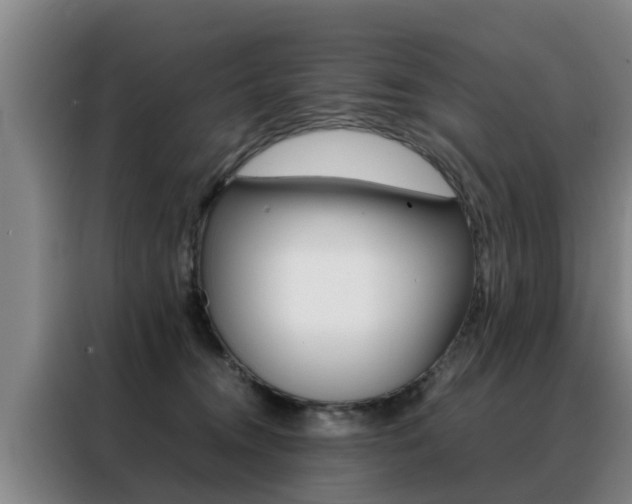 X0000088400372200705220826