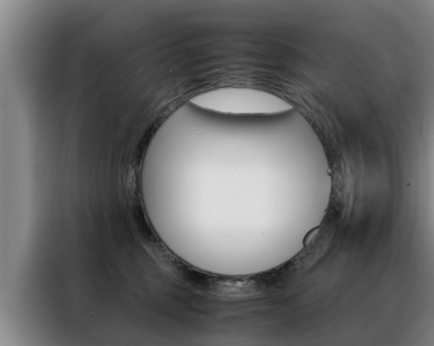 X0000088400375200705220826