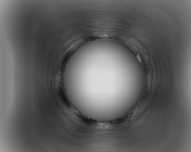 X0000088400376200705220826