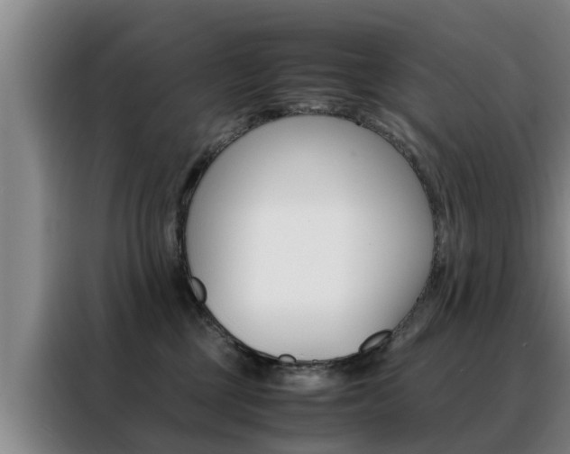 X0000088400377200705220826