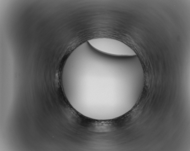 X0000088400378200705220826
