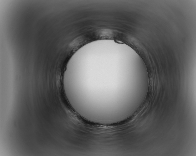 X0000088400379200705220826