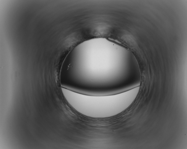 X0000088400380200705220826