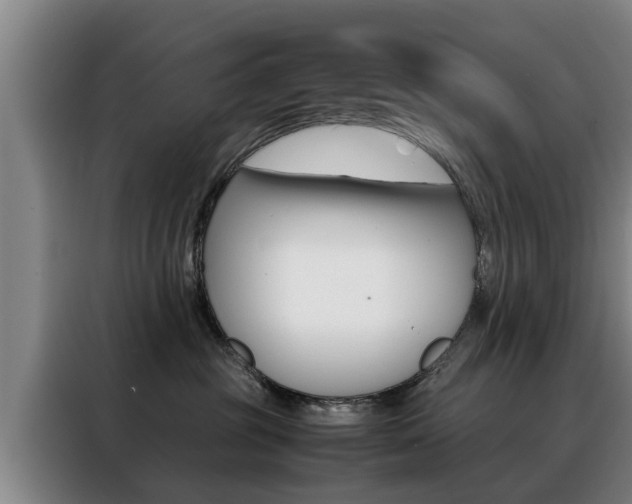 X0000088400381200705220826