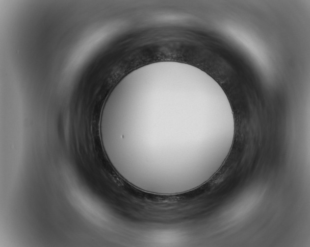 X0000088400382200705220826
