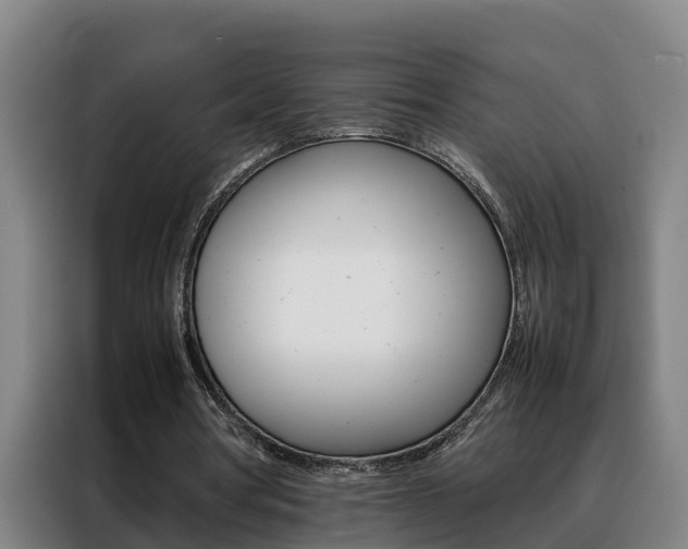 X0000088400386200705220826