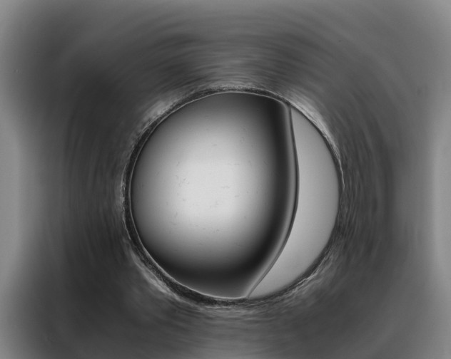 X0000088400389200705220826