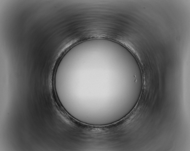 X0000088400390200705220826