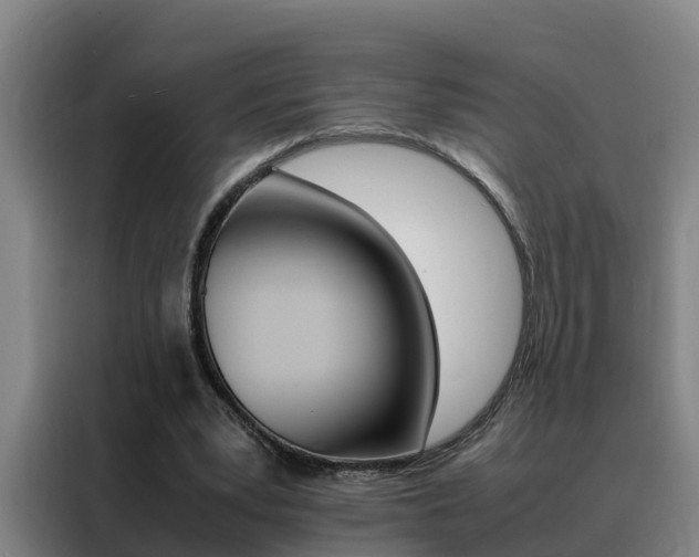 X0000088400391200705220826