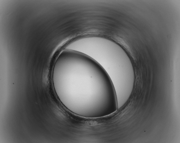 X0000088400392200705220826