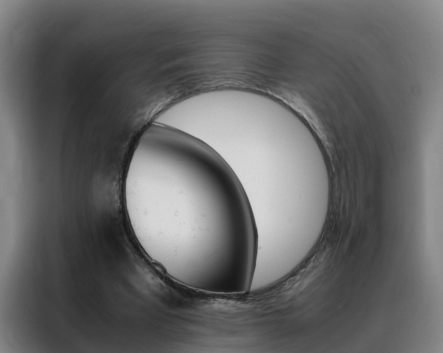 X0000088400393200705220825