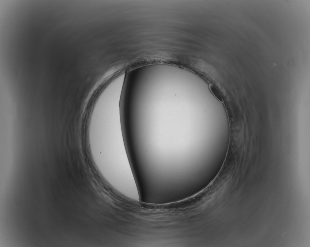 X0000088400395200705220825