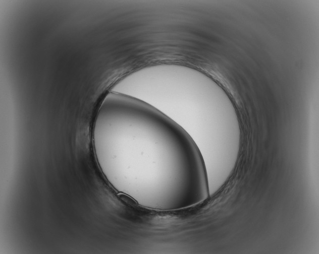 X0000088400397200705220825