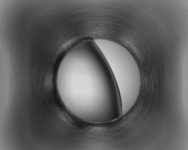 X0000088400400200705220825