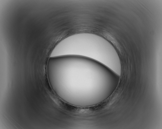 X0000088400401200705220825