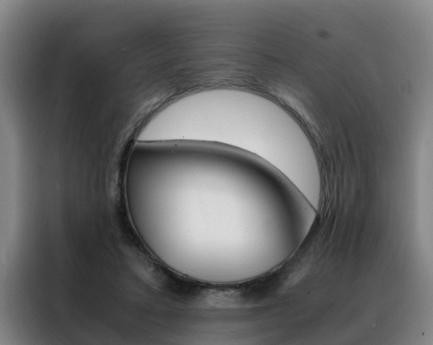 X0000088400403200705220825