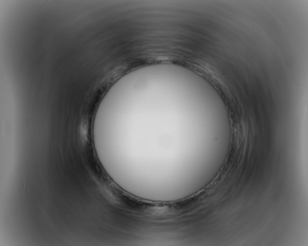 X0000088400406200705220825