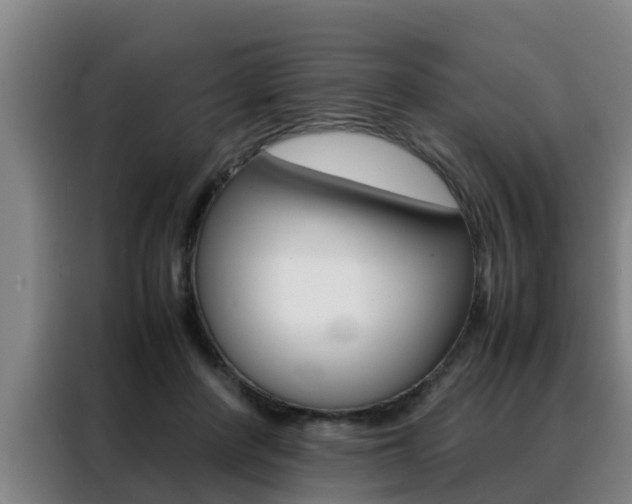 X0000088400408200705220825