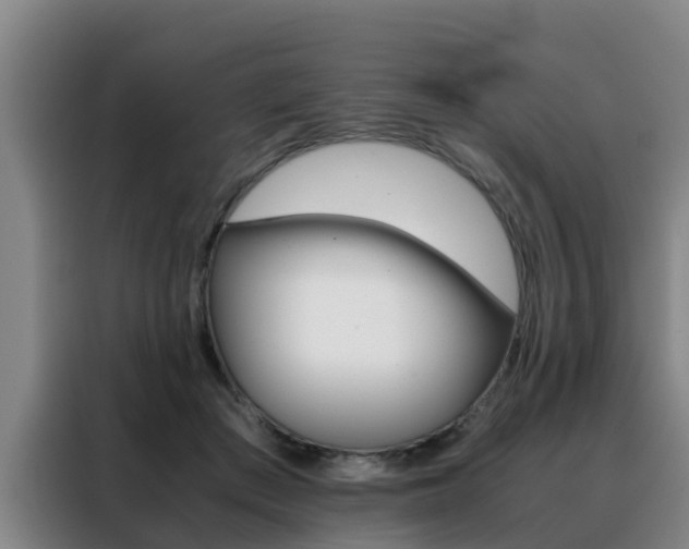 X0000088400409200705220825