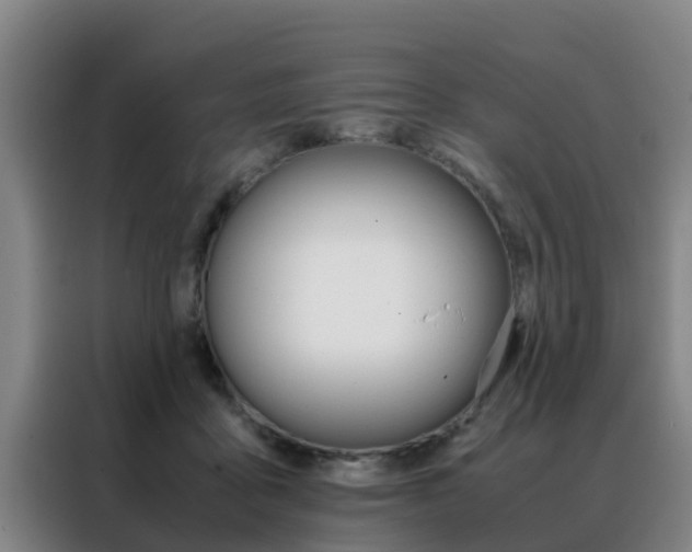 X0000088400411200705220825