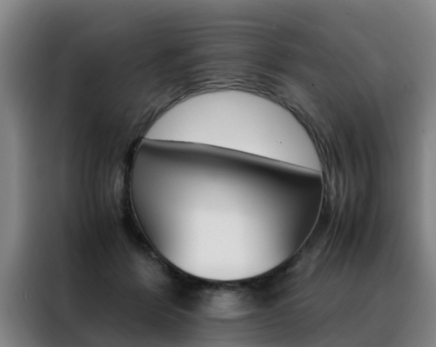 X0000088400412200705220825