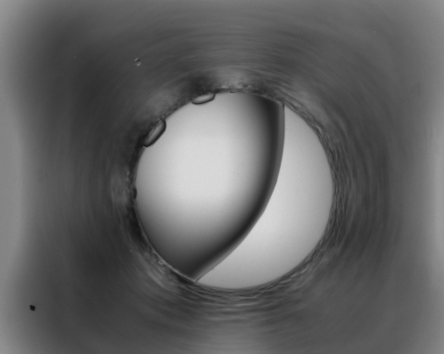 X0000088400413200705220825