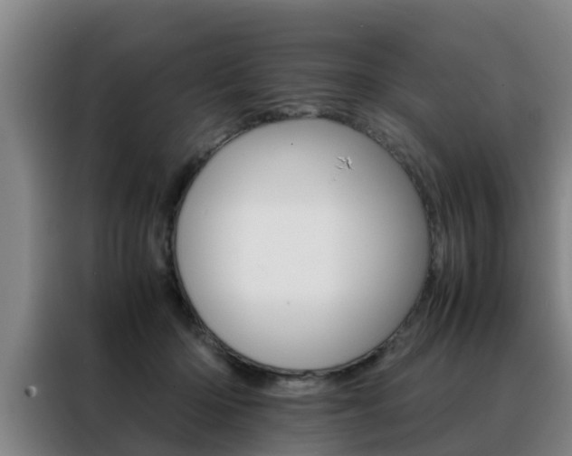 X0000088400414200705220825