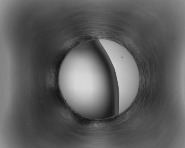 X0000088400416200705220825