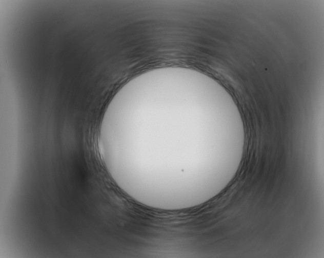 X0000088400417200705220825