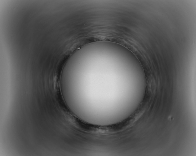 X0000088400420200705220825
