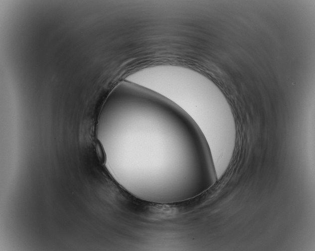 X0000088400421200705220825